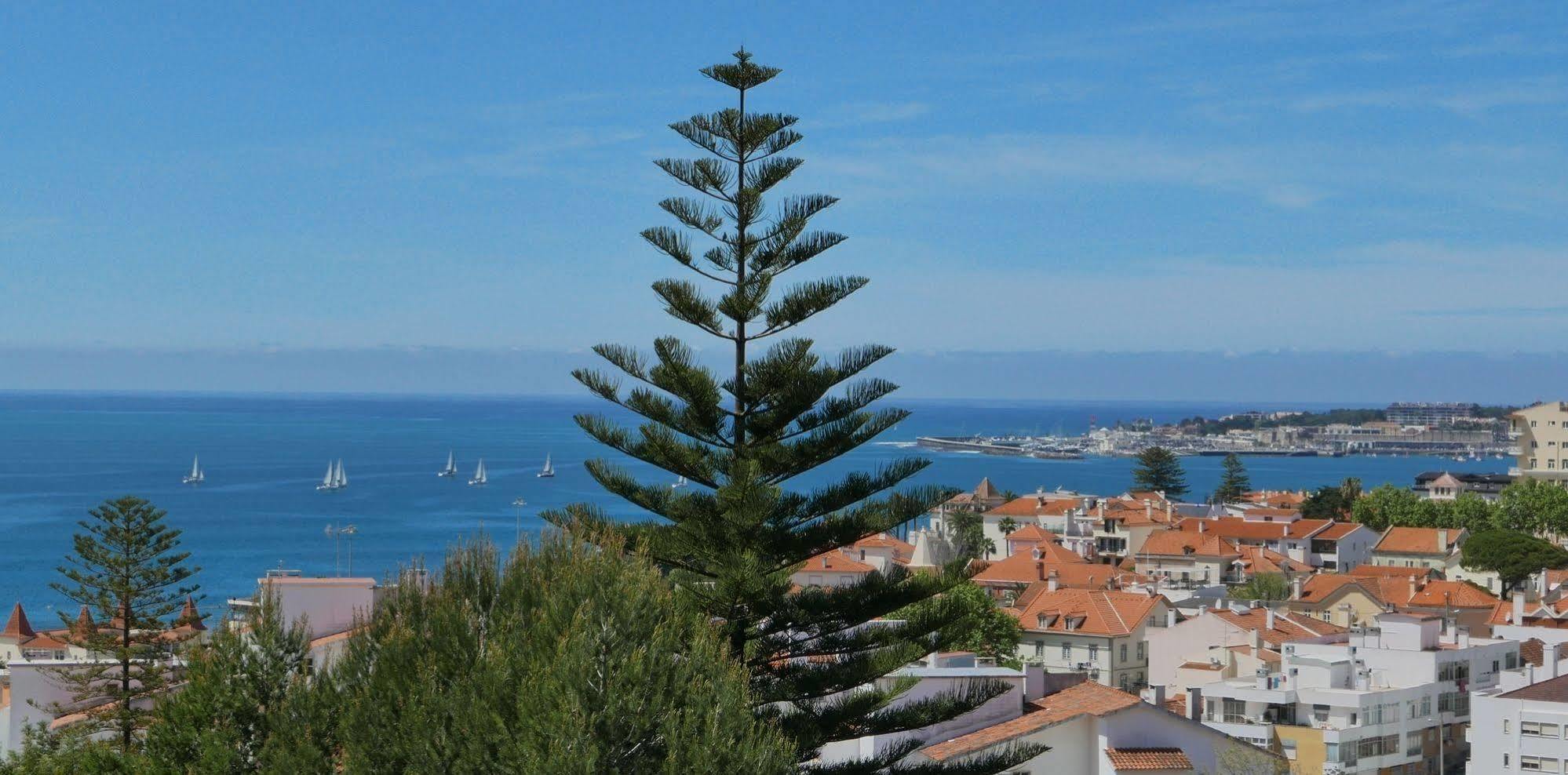 Dolce Vita Guesthouse Estoril Exteriör bild